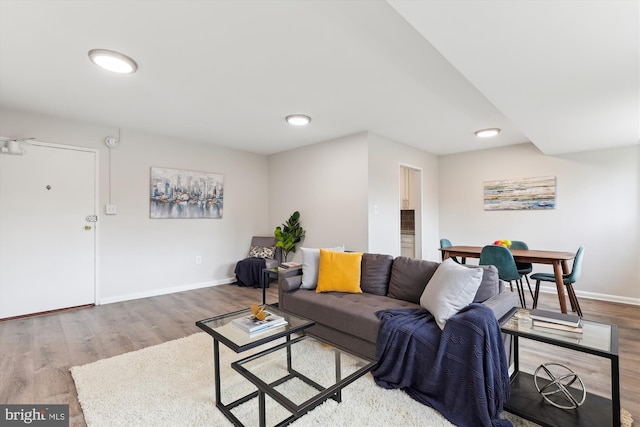 living room with hardwood / wood-style floors