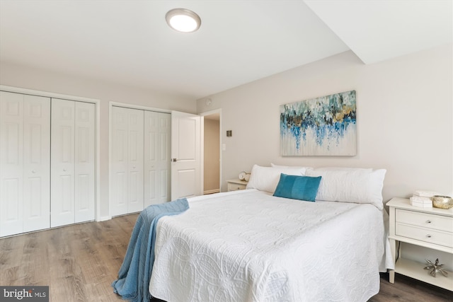 bedroom with wood-type flooring and multiple closets