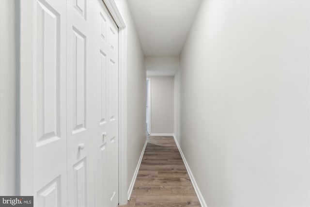 hallway with wood-type flooring