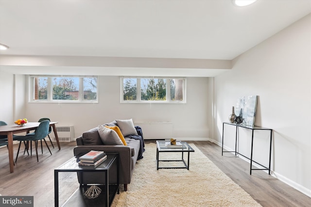 living room featuring hardwood / wood-style floors and radiator