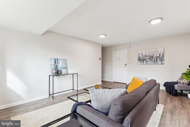 living room featuring hardwood / wood-style flooring