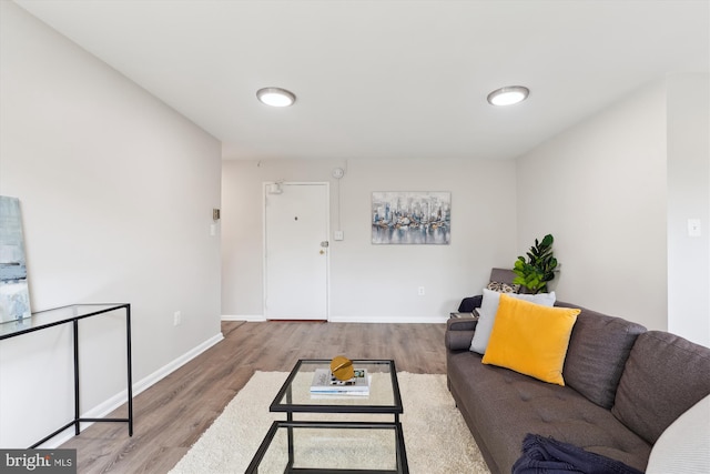 living room featuring hardwood / wood-style floors