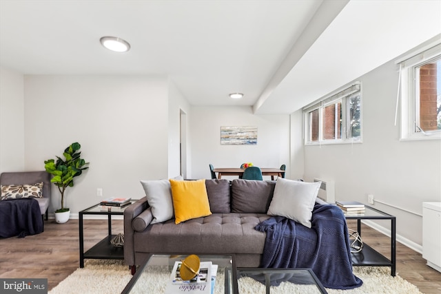 living room featuring light hardwood / wood-style floors