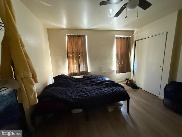 bedroom featuring ceiling fan, hardwood / wood-style floors, and a closet