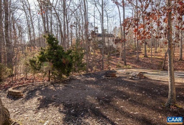 view of local wilderness