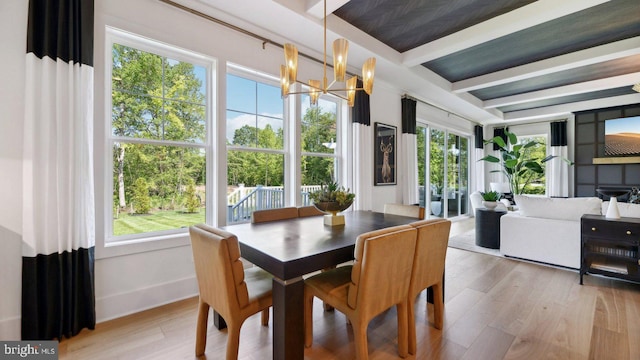 dining room featuring beam ceiling, light hardwood / wood-style floors, and a healthy amount of sunlight