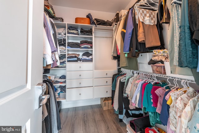 walk in closet with wood-type flooring