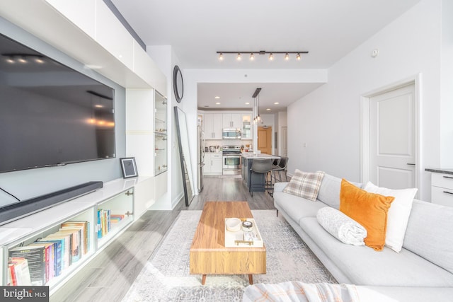 living room featuring light hardwood / wood-style flooring