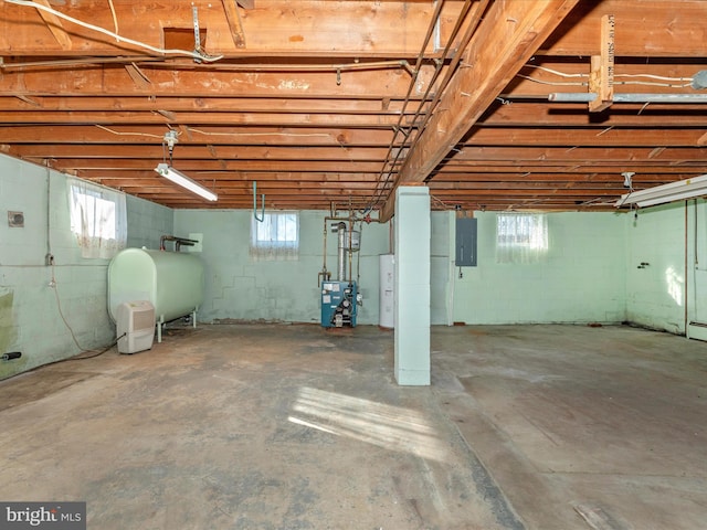 basement featuring electric panel