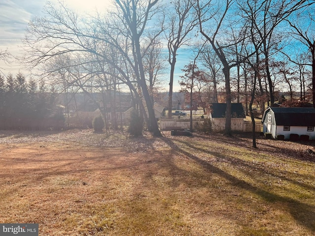 view of yard with a storage shed