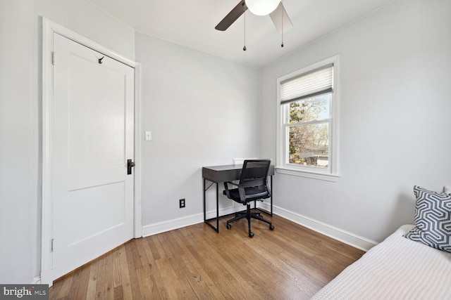 interior space featuring light hardwood / wood-style flooring and ceiling fan