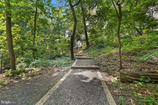 view of yard featuring a wooded view