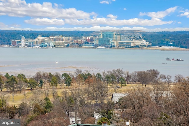 property view of water with a city view