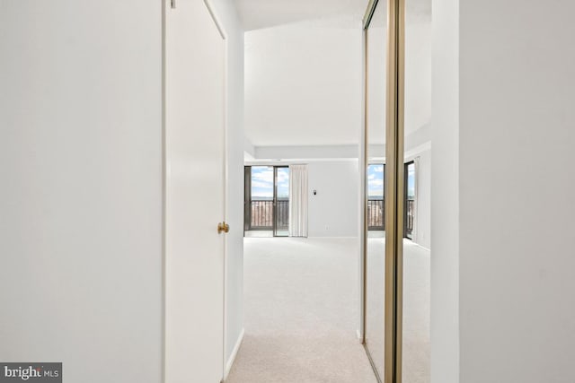 hallway with carpet