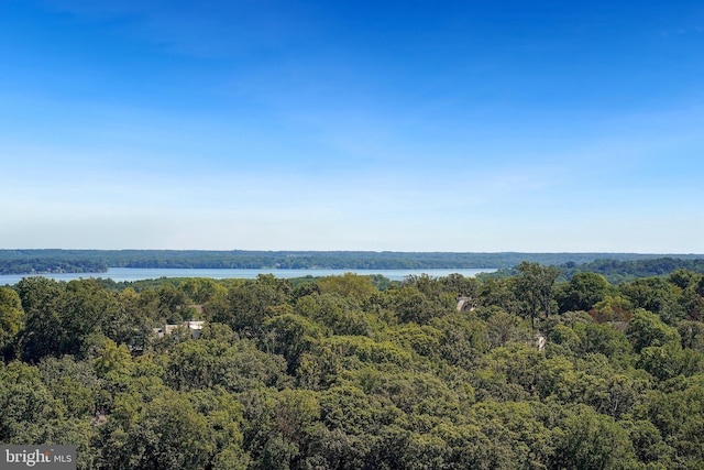 aerial view featuring a water view and a wooded view