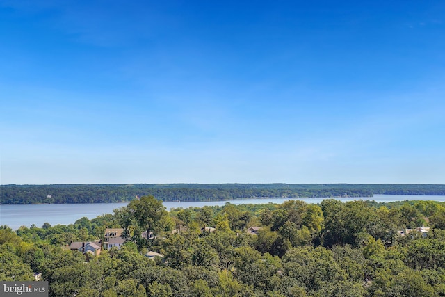 property view of water featuring a forest view