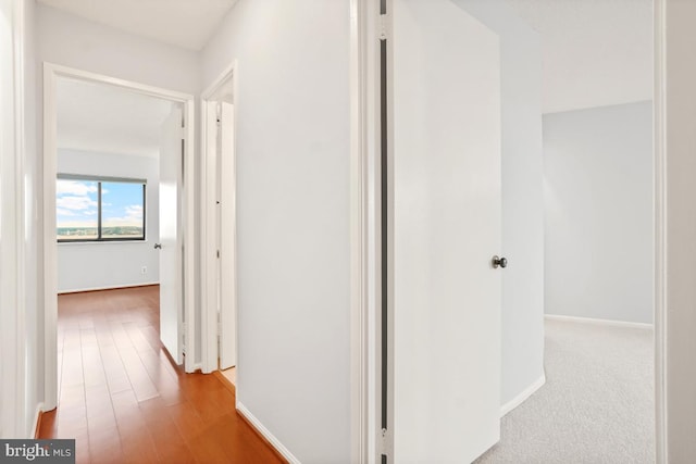 hall with baseboards and wood finished floors