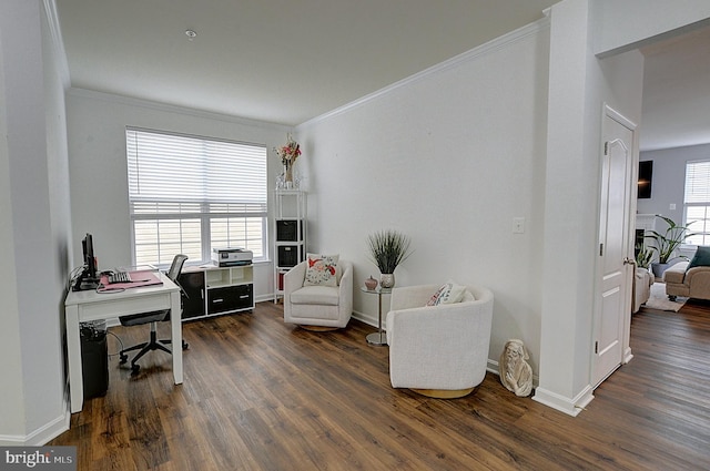 office area featuring dark hardwood / wood-style floors and ornamental molding