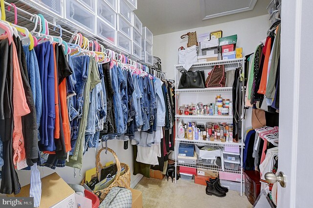 spacious closet featuring carpet