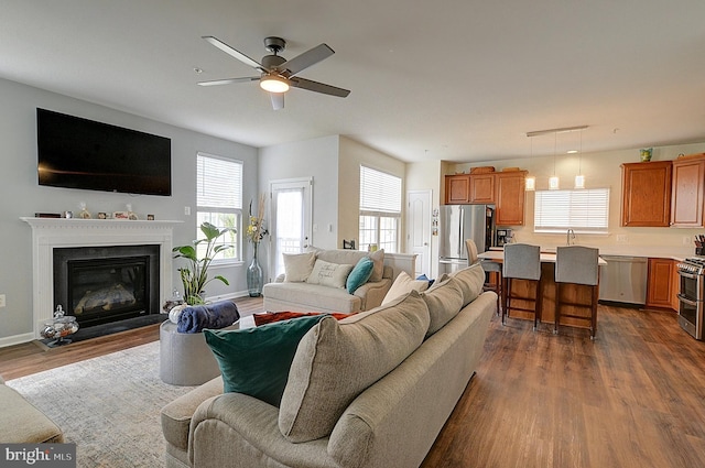 living room featuring ceiling fan, dark hardwood / wood-style flooring, and sink