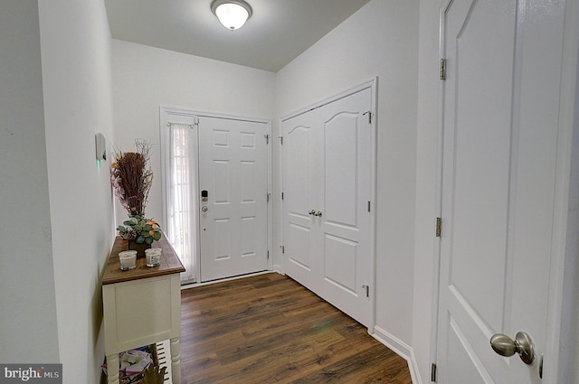 foyer entrance with dark hardwood / wood-style flooring