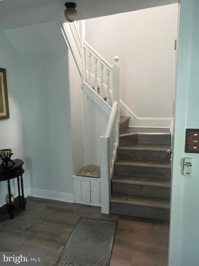 staircase featuring wood-type flooring