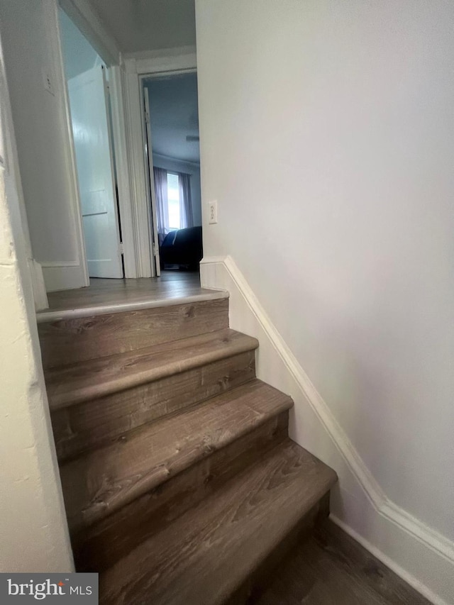 stairs featuring hardwood / wood-style floors