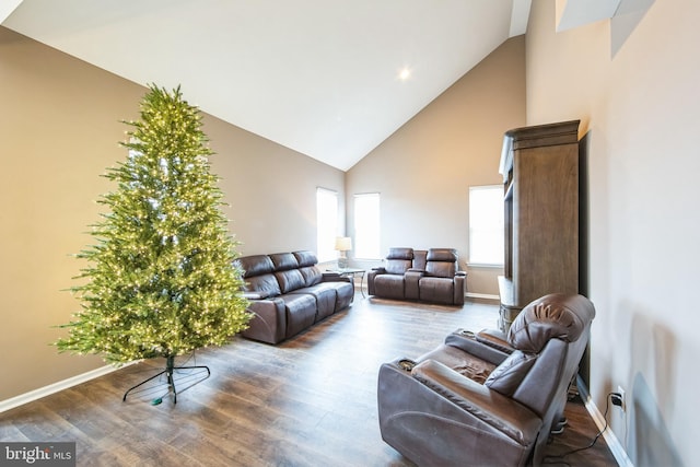 living room with dark hardwood / wood-style flooring and high vaulted ceiling