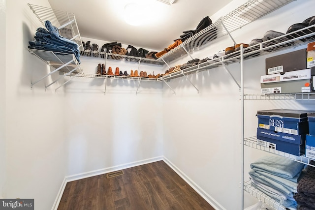 walk in closet with hardwood / wood-style flooring