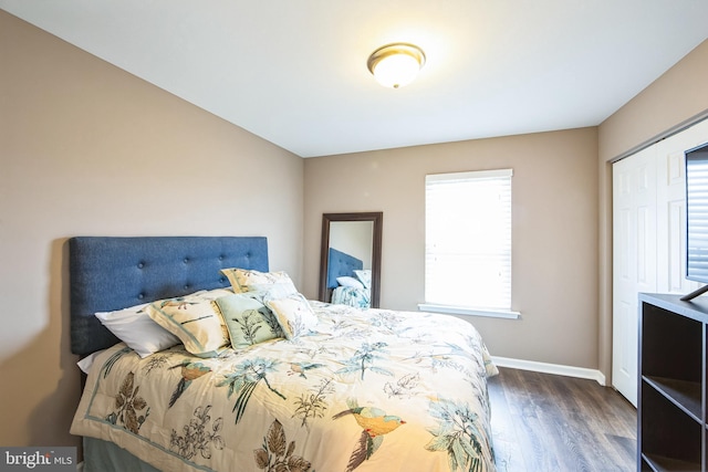 bedroom featuring dark wood-type flooring