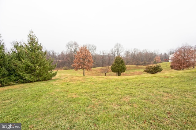 view of yard featuring a rural view