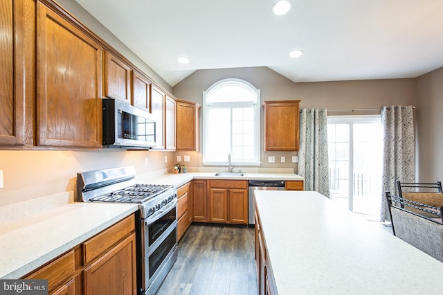 kitchen featuring a healthy amount of sunlight, dark hardwood / wood-style flooring, sink, and appliances with stainless steel finishes