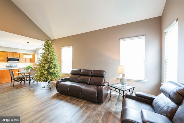 living room with dark hardwood / wood-style floors, high vaulted ceiling, and plenty of natural light