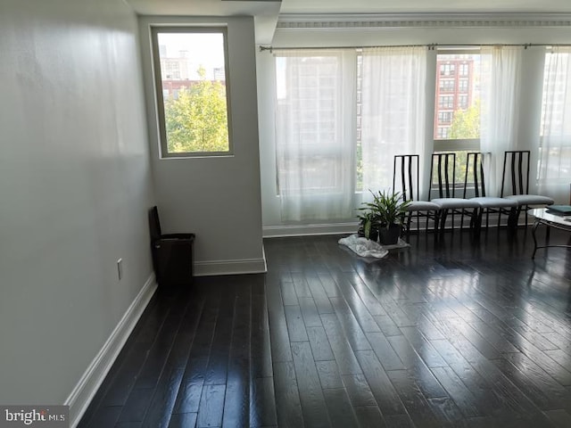 spare room featuring dark hardwood / wood-style flooring