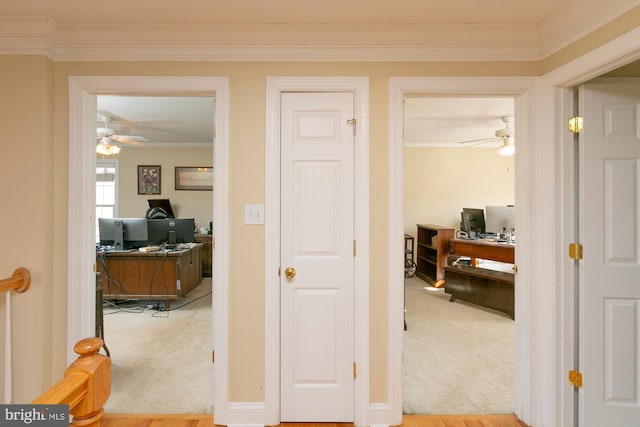 hall featuring crown molding and light carpet