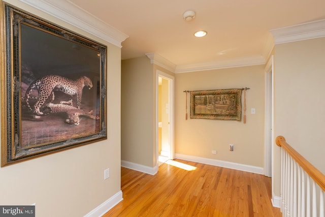 corridor featuring crown molding and light hardwood / wood-style flooring