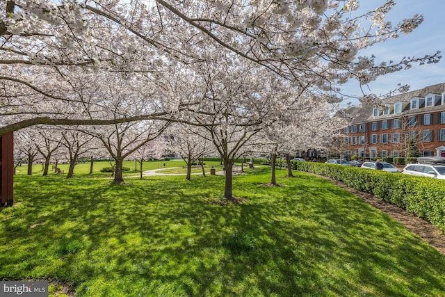 view of property's community with a lawn