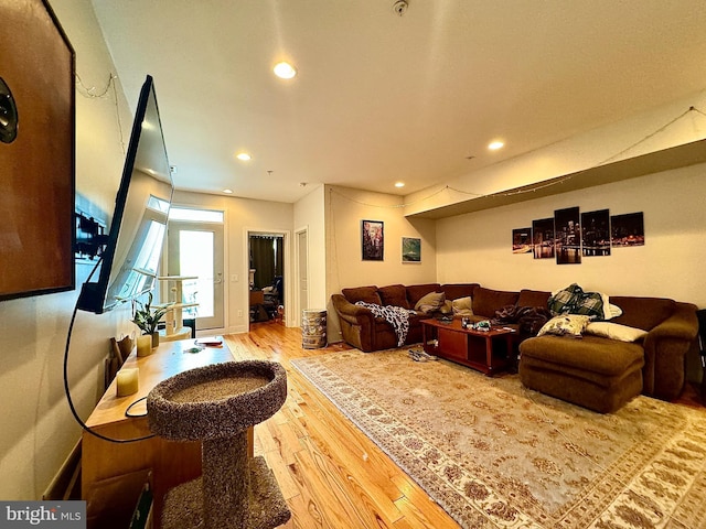 living room featuring wood-type flooring