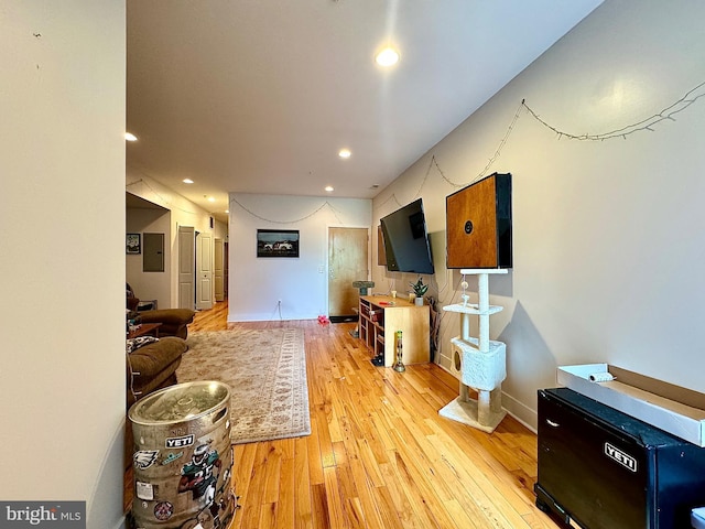 living room featuring light hardwood / wood-style floors