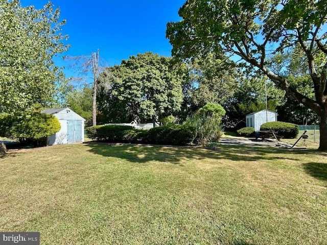 view of yard featuring a storage shed