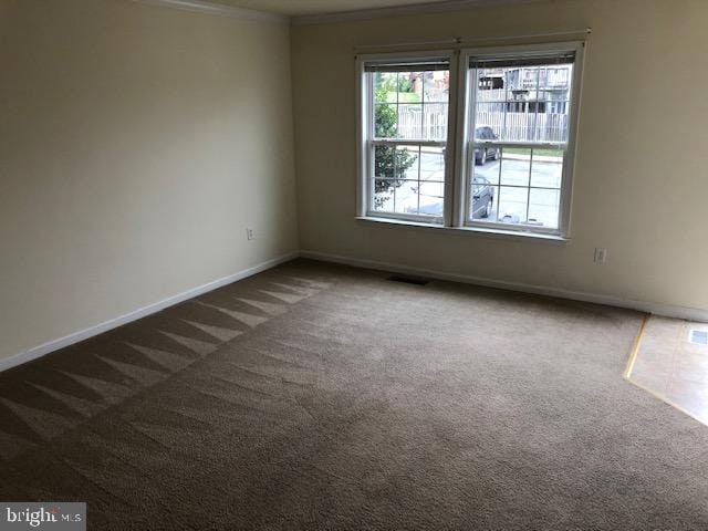 spare room with carpet floors and crown molding