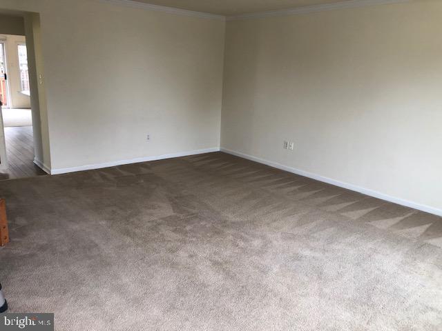 spare room with dark carpet and ornamental molding