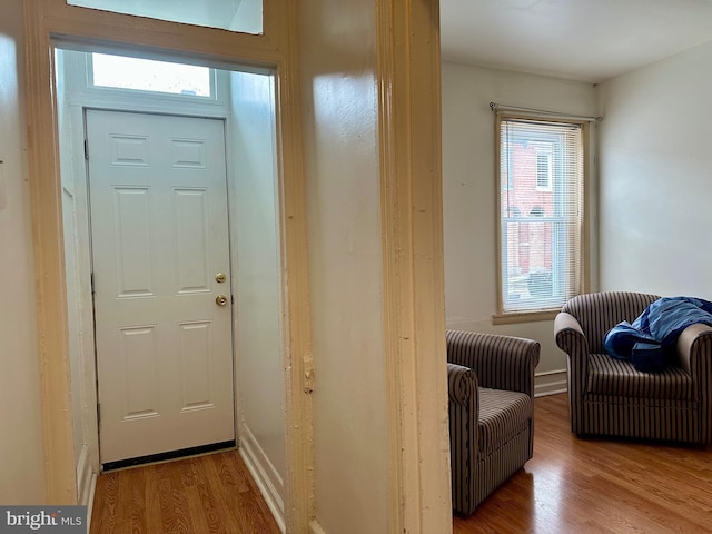 entryway featuring hardwood / wood-style floors