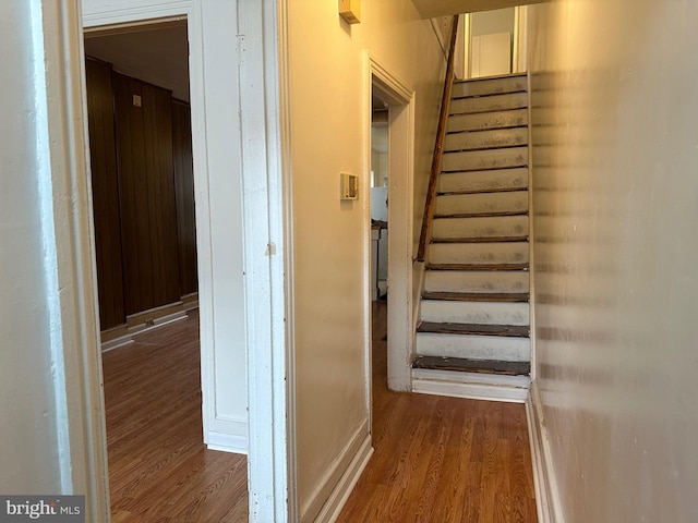 hallway featuring dark hardwood / wood-style flooring