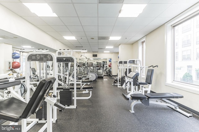 workout area featuring a paneled ceiling