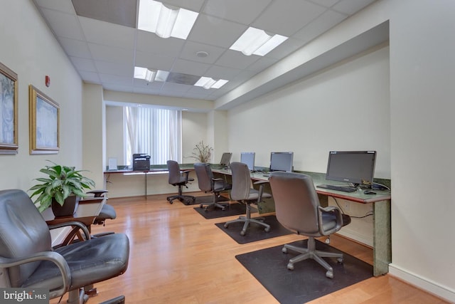 office with a paneled ceiling and hardwood / wood-style flooring