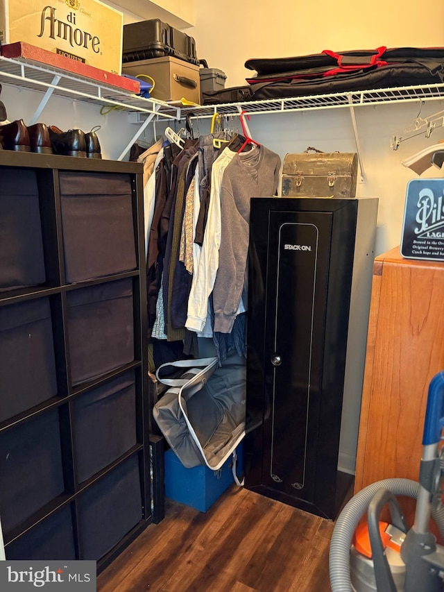 walk in closet featuring dark hardwood / wood-style flooring