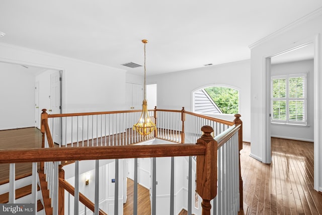 corridor featuring a notable chandelier, wood-type flooring, and crown molding