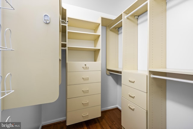 walk in closet featuring dark wood-type flooring