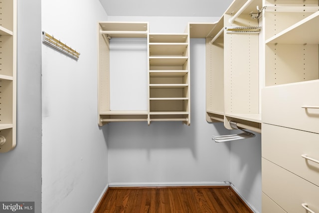 walk in closet featuring dark wood-type flooring